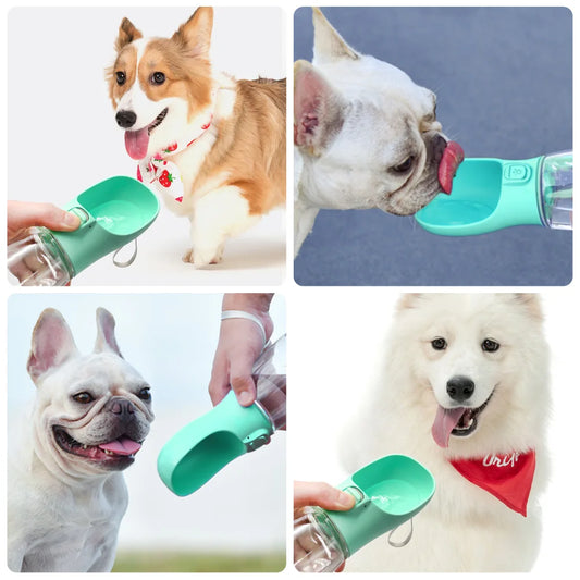 Portable Dog&Cat Water Bottle